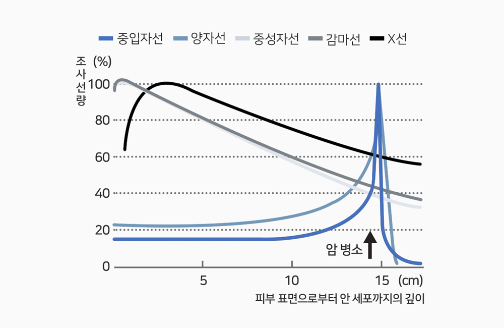 주요 방사선 및 중입자선량 분포
